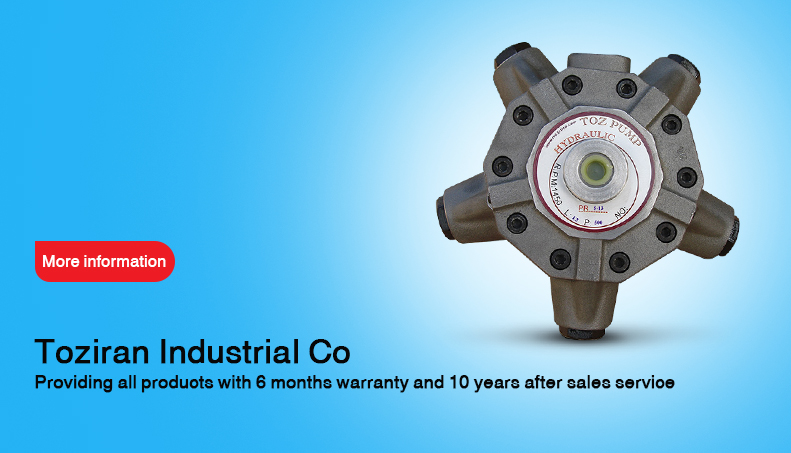 Iranian piston hydraulic pump